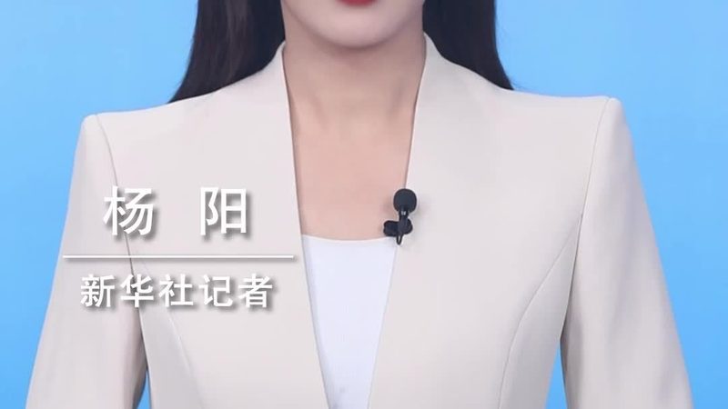 人工智能应用入门：从原理到实践**